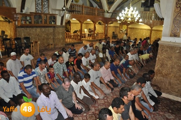 trawe7 mahmodiya 713 (40).JPG